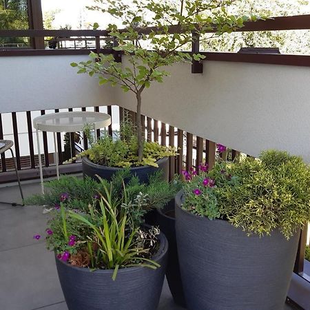 4Four Apartment, Villa Moderno, Taras, Parking Podziemny Stary Toruń 외부 사진